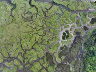 Aerial view of the Mulranny Salt Marsh which are vivid hues of green and are present in non uniform shape in the landscape, similiar to a pattern