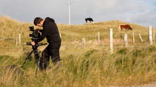 Film crew member adjusting a camera on a tripod in tall coastal grassland, with fenced fields and grazing cattle in the background under soft daylight.